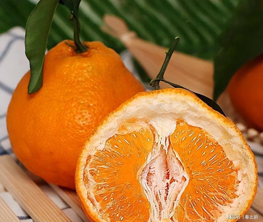 输掉总决赛的第一课，是接受失败